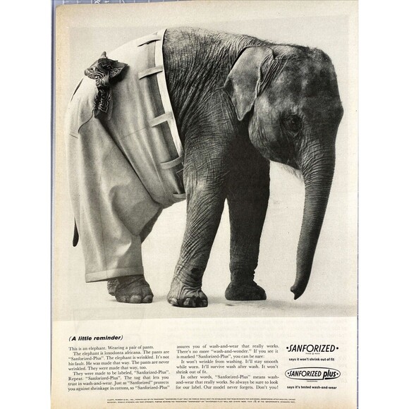 Sanforized Plus Pants Wrinkled Elephant wears unwrinkled pants Vtg Print Ad 1963 - Picture 1 of 3